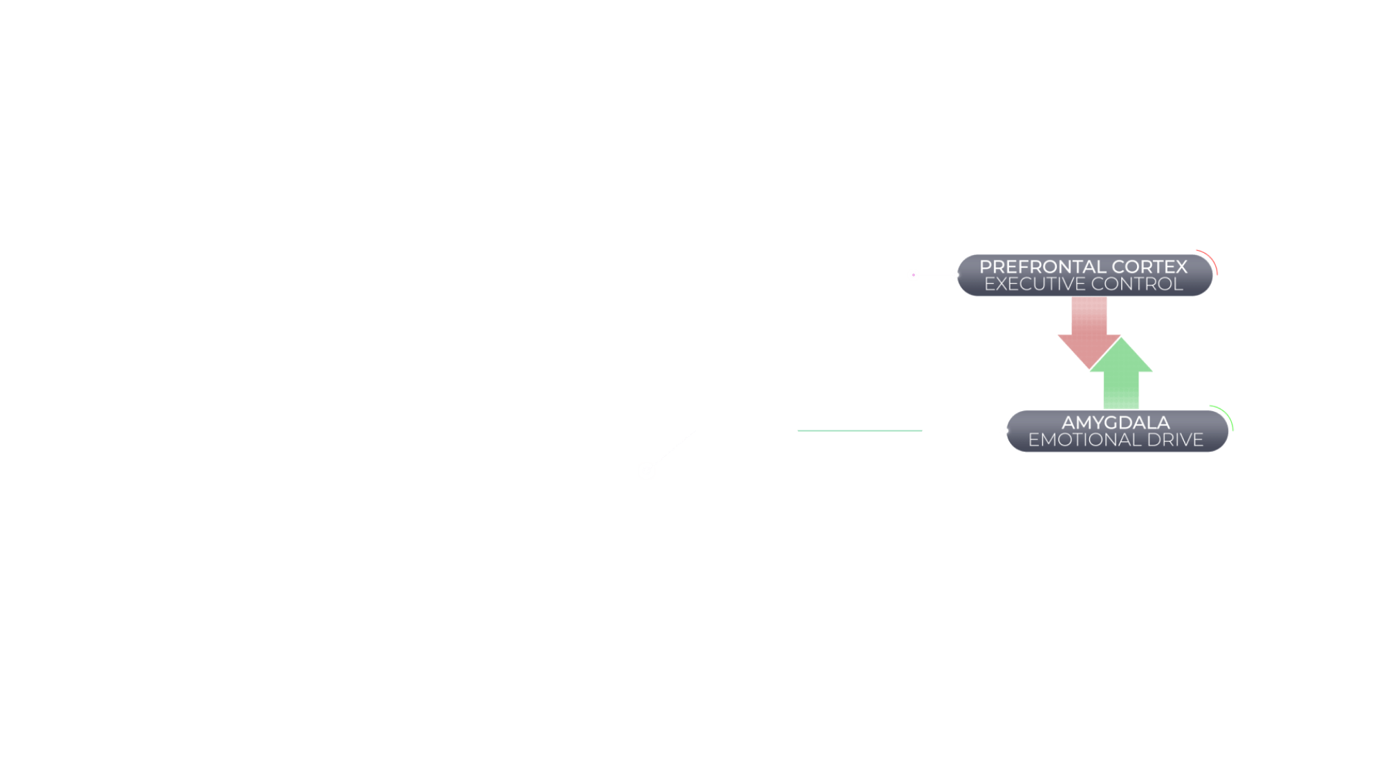 Information